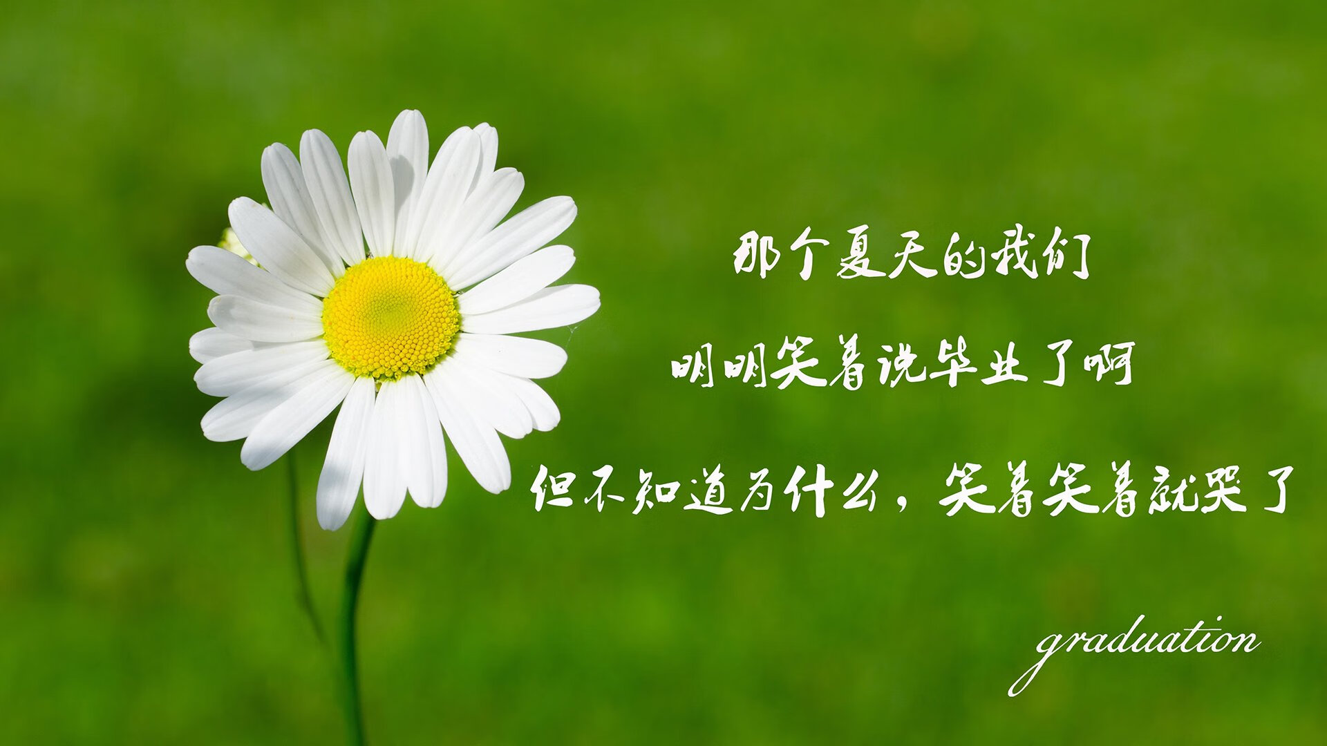 Jiuyou-意甲高压对抗下替补出场效率提升趋势，意甲高能7秒