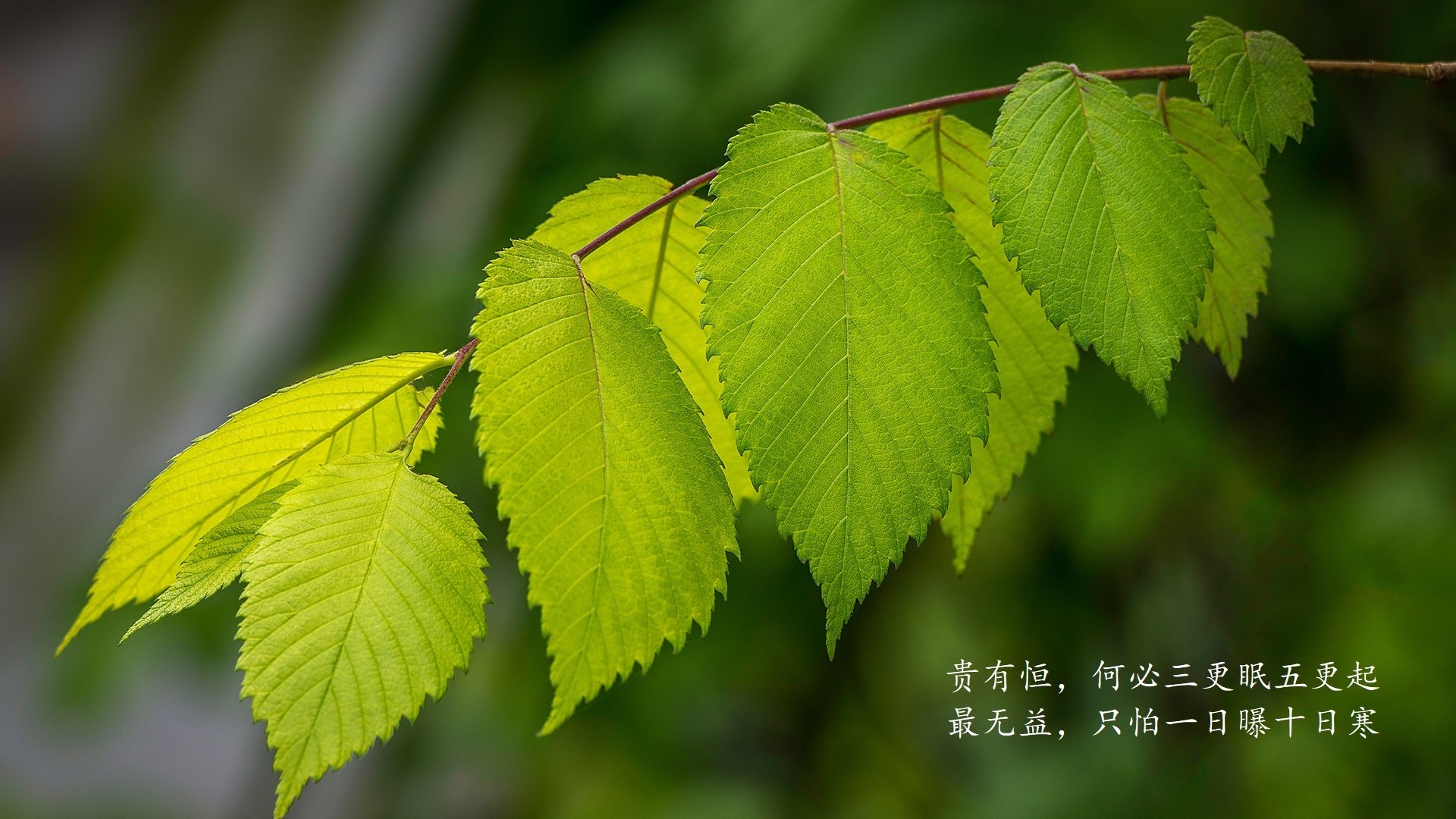 九游娱乐-球队是否根据球员惯用脚调整组织发起方向，持球队员