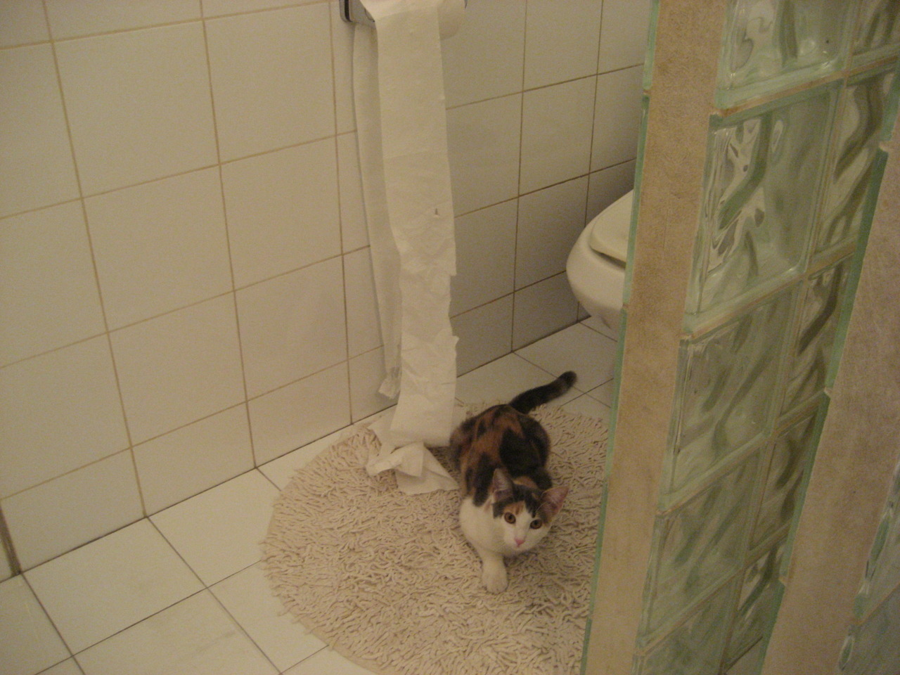 九游娱乐官网 (jiuyou)-体育新闻中心公布运动队医支持标准化指导意见,运动队队医职责