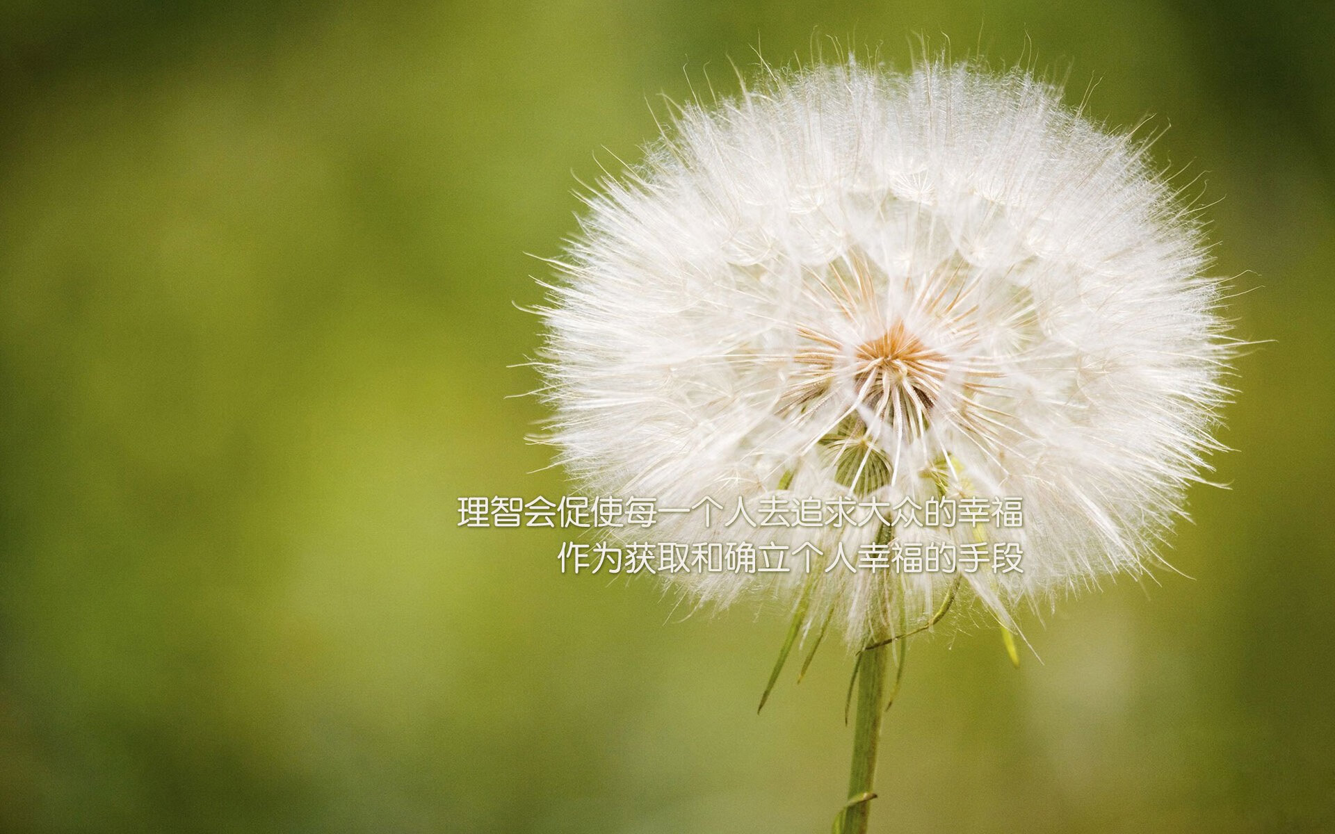 九游网页版官网-多位球员赛后主动加练展现积极态度争取赢得更多上场机会,现场赛使用加成球员打入5球