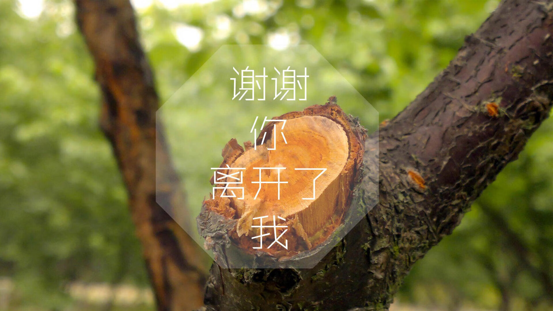 九游-张伟丽训练中心启用提升备战环境,张伟丽教练团队介绍