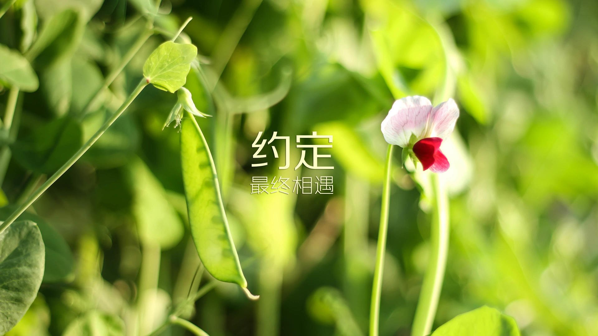 九游网-职业联赛开展退役球员职业转型培训助力再就业,职业篮球运动员退役