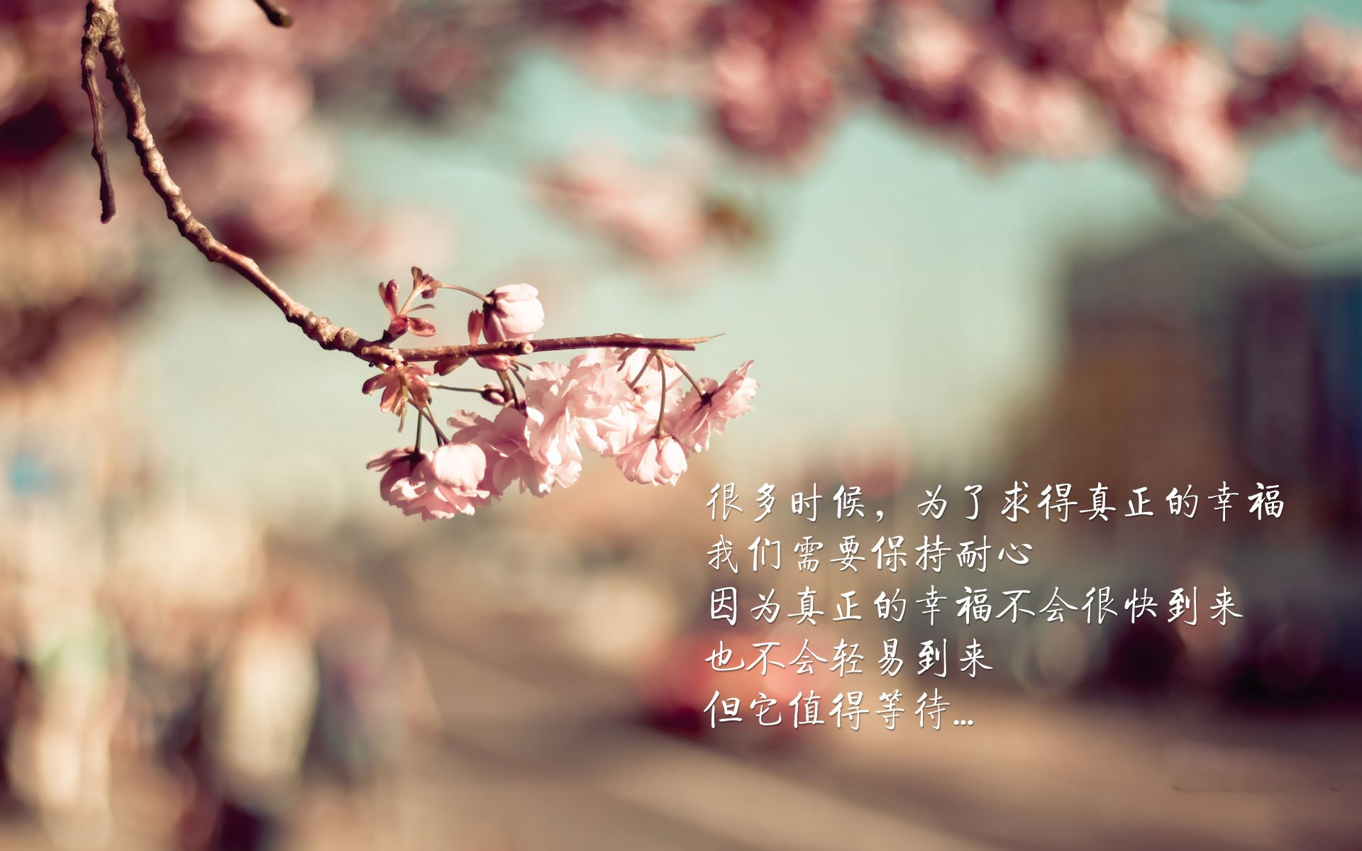 九游娱乐-英超的商业广告合作案例,英超场边led广告报价